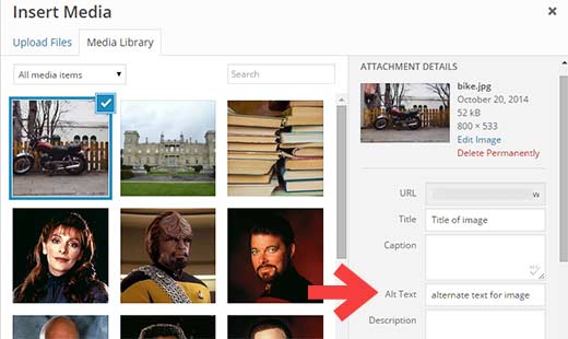 An example of adding an alt tag to an image on a website