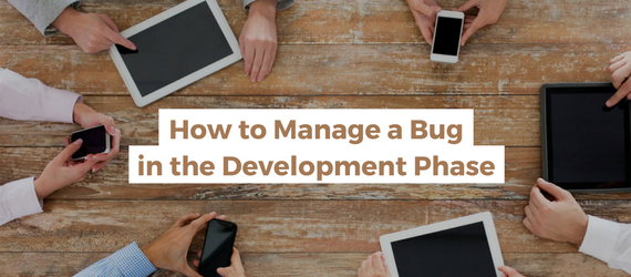 How Do You Manage a Bug Between 2 Development Phases?