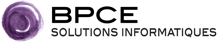 bpce-solutions-informatiques-rvb-bpce-solutions-immo-rvb